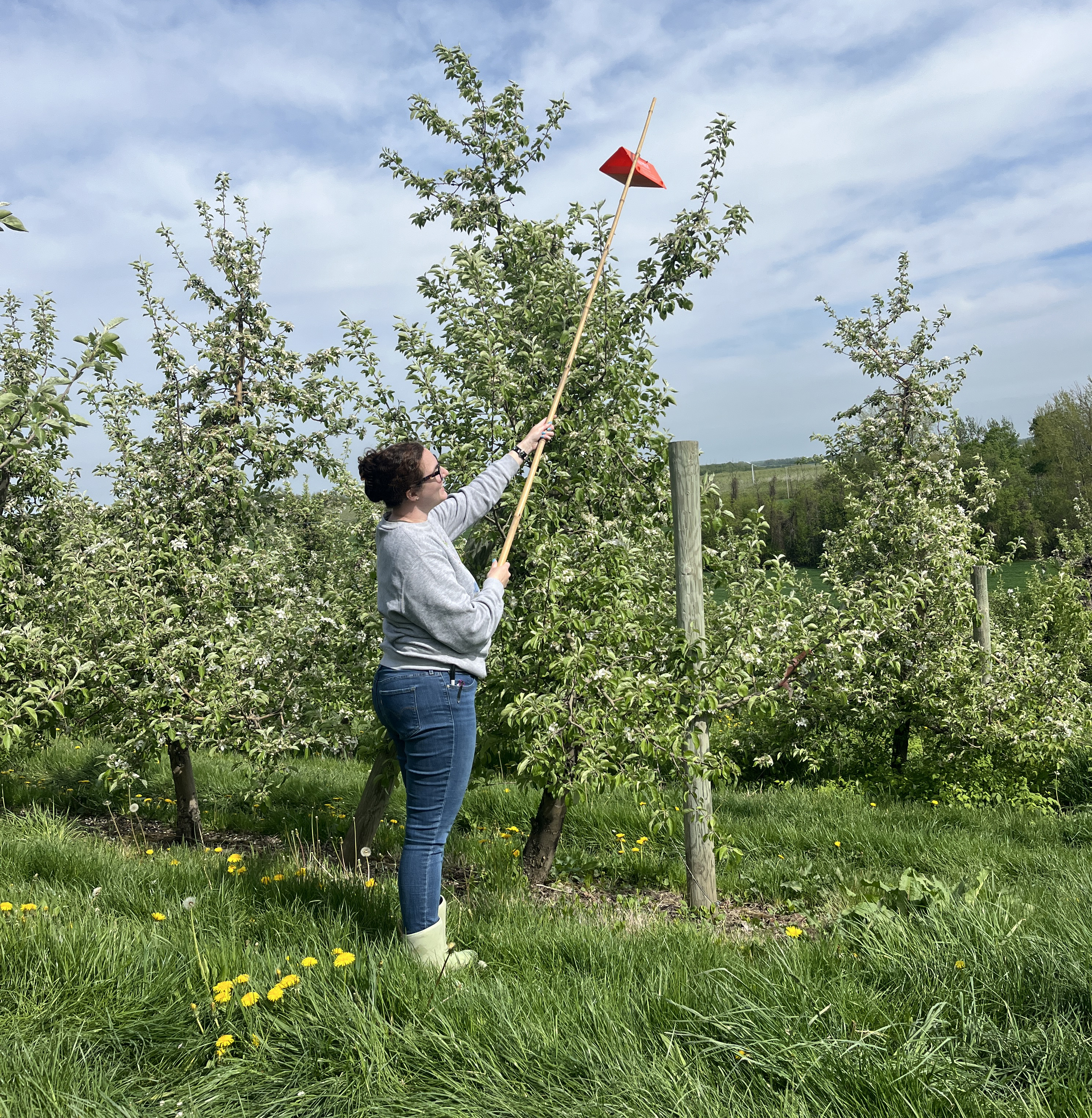 2-orange delta trap-cropped_Jackie Perkins.jpg